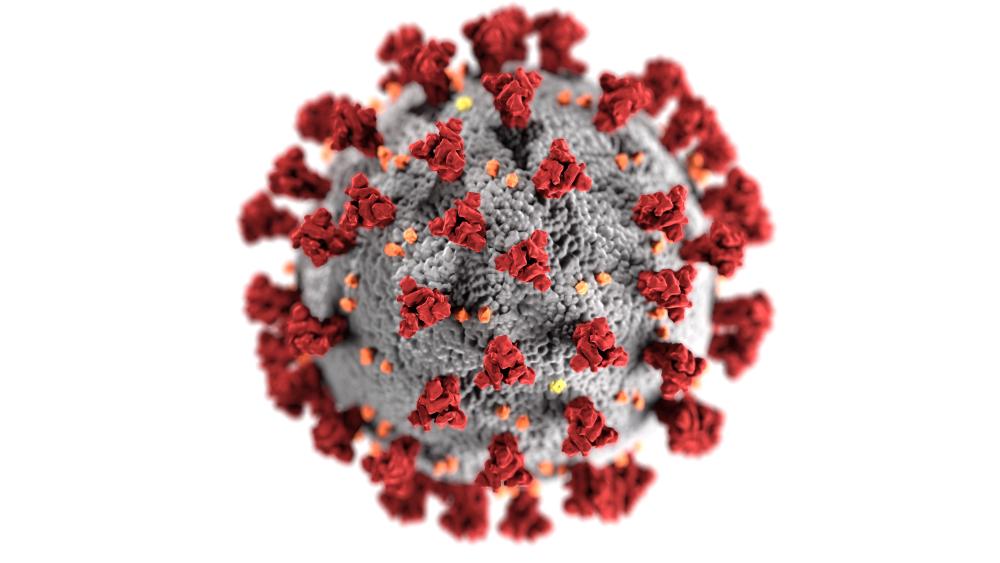 An image of Coronavirus.